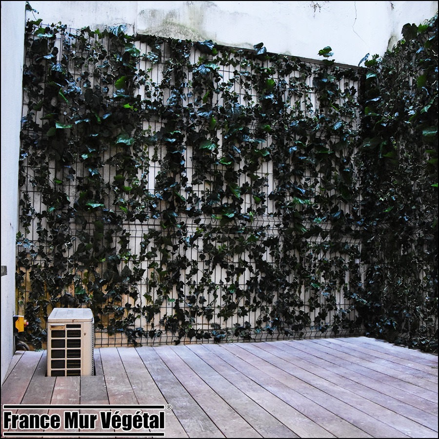 Mur Végétal Artificiel Extérieur 20m² Lierre rampant sur grille dans une cour Parisienne
