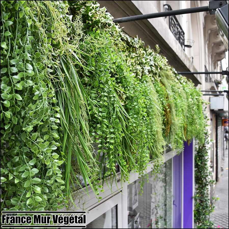 Mur Végétal Artificiel Extérieur agence immobilière Paris