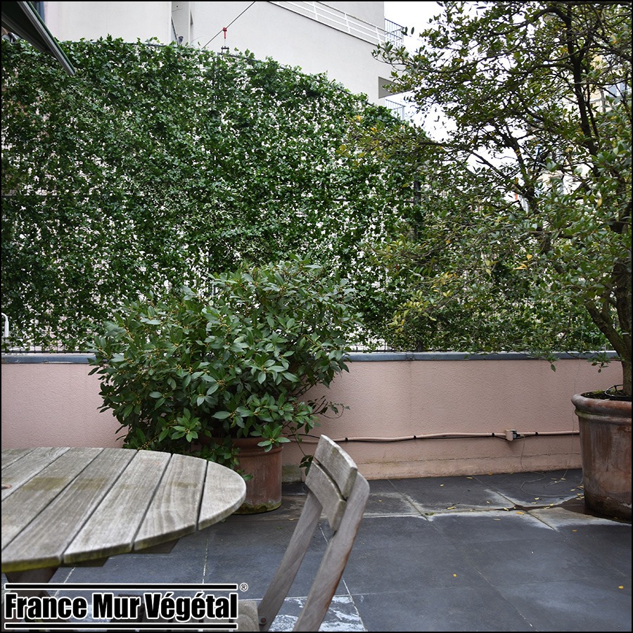 Mur Végétal Artificiel Extérieur brise vue terrasse Villa Molitor Paris