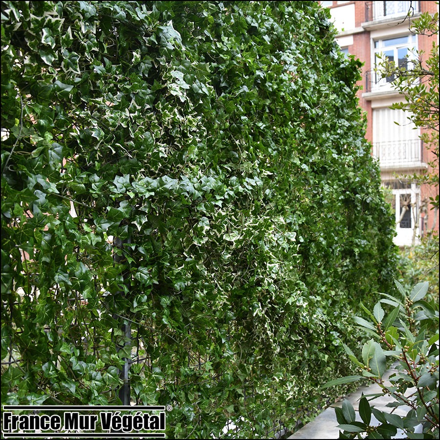 Mur Végétal Artificiel Extérieur brise vue terrasse Villa Molitor Paris