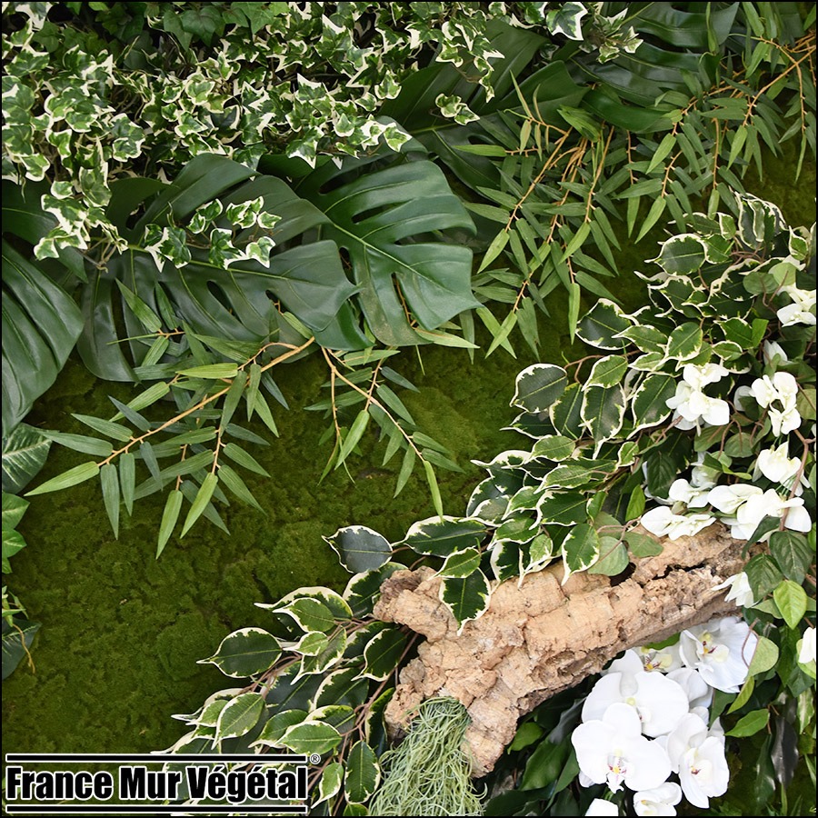 Mur Végétal Artificiel centre de soins esthétique Paris XVI