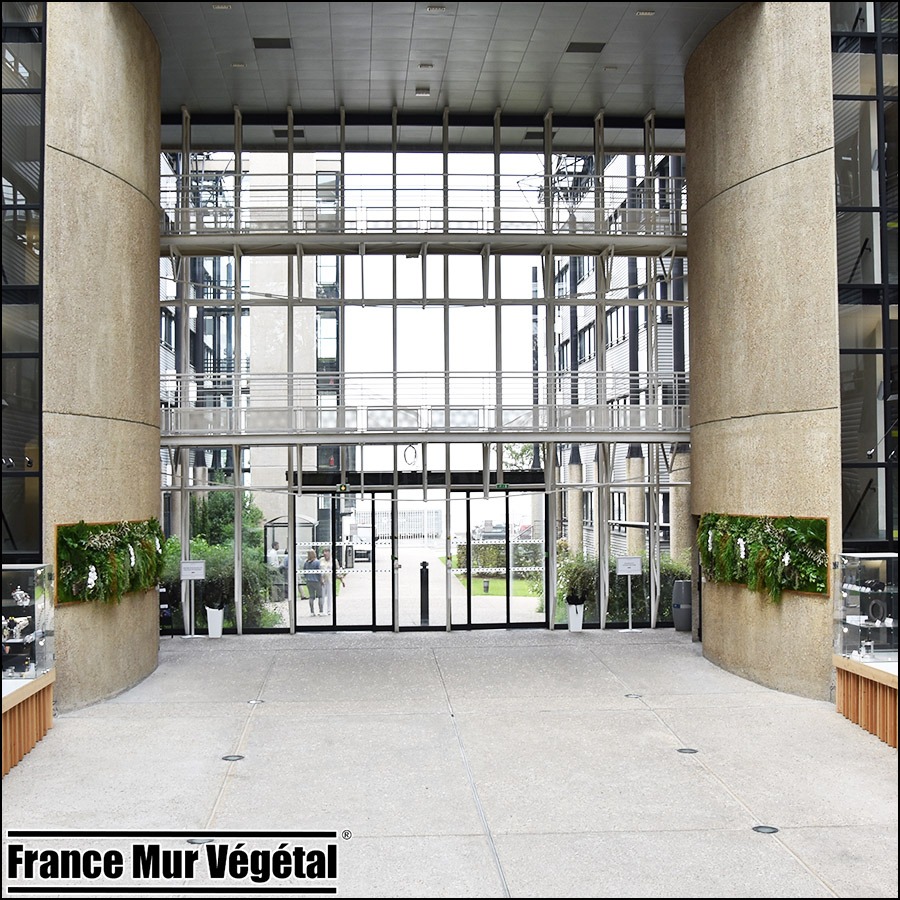 Murs végétaux artificiels intérieur 8m² Safran Vélizy 78