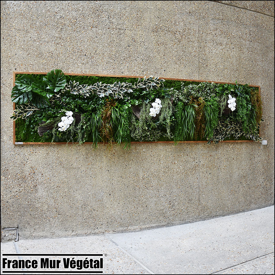Murs végétaux artificiels intérieur 8m² Safran Vélizy 78