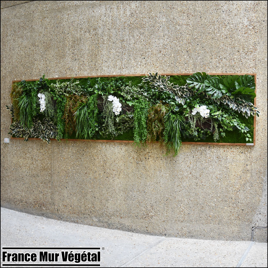 Murs végétaux artificiels intérieur 8m² Safran Vélizy 78