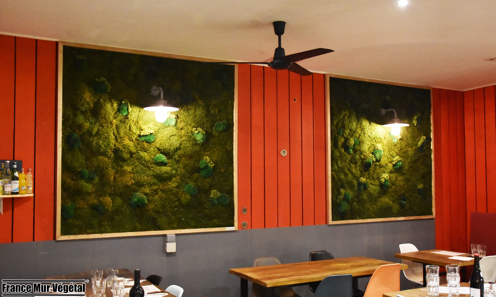 Mur Végétal Stabilisé Forfait Mousses