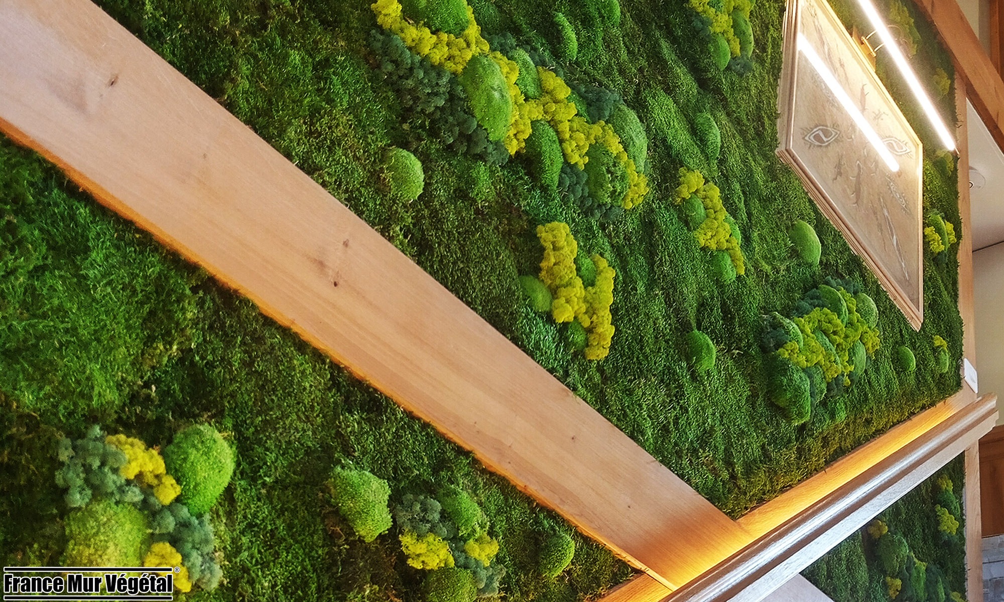 Mur Végétal Stabilisé Forfait Mousses & Lichens