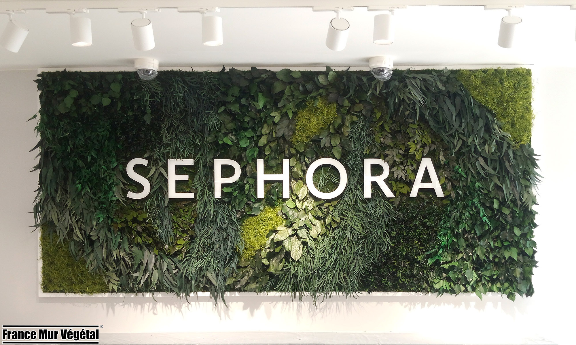 Mur Végétal Stabilisé Forfait Dense