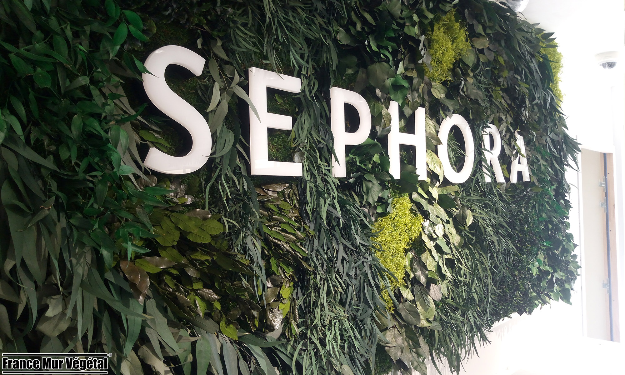 Mur Végétal Stabilisé Forfait Dense