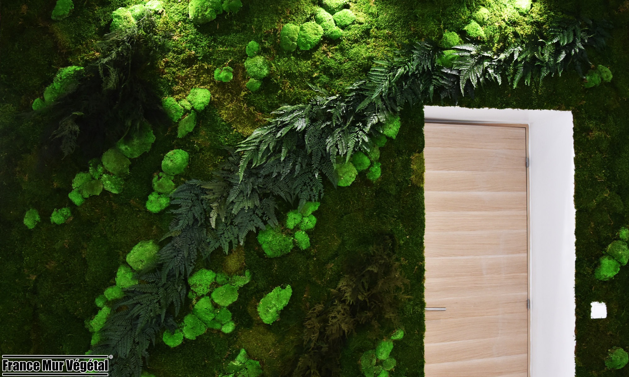 Mur Végétal Stabilisé Forfait Éparse