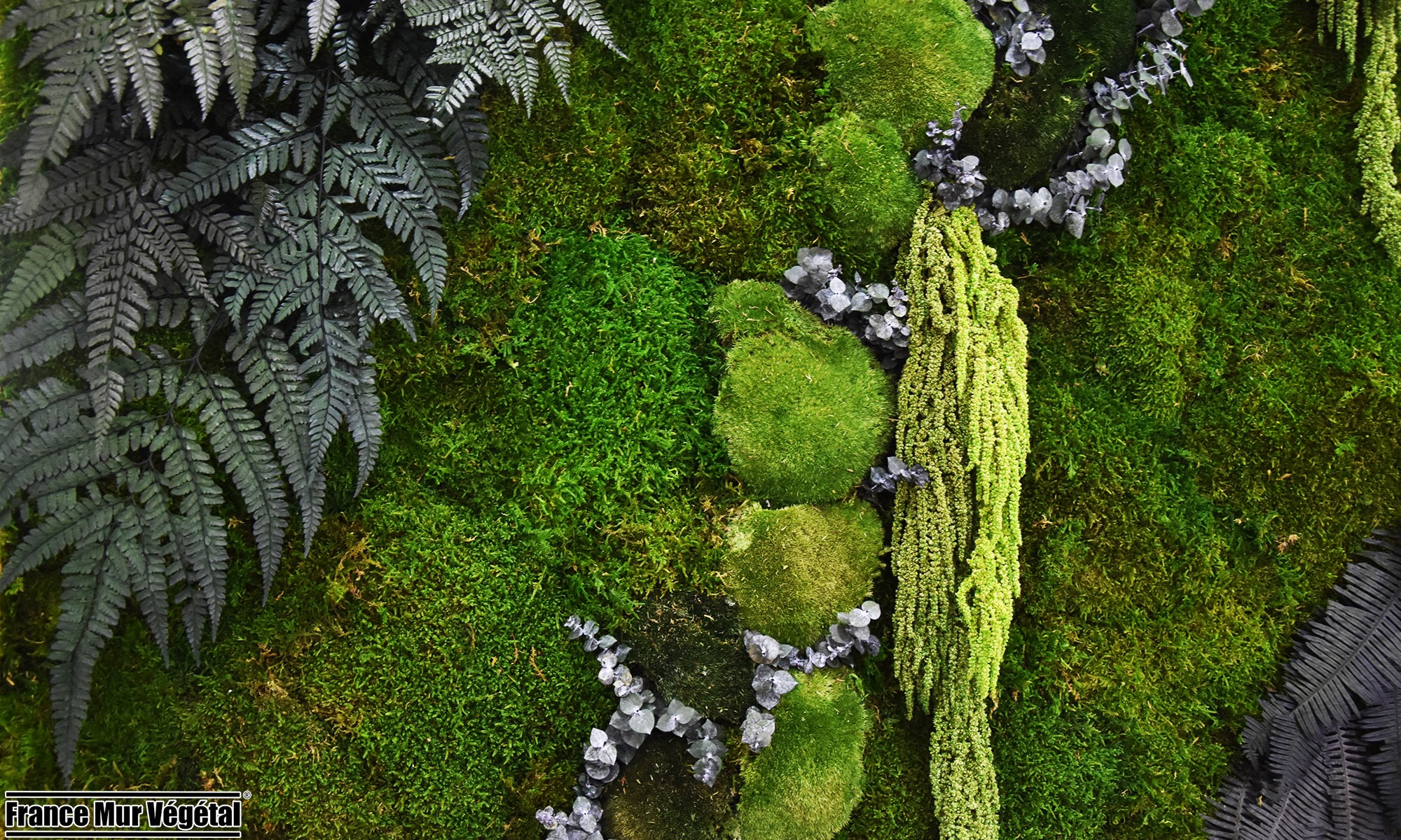 Mur Végétal Stabilisé Forfait Éparse