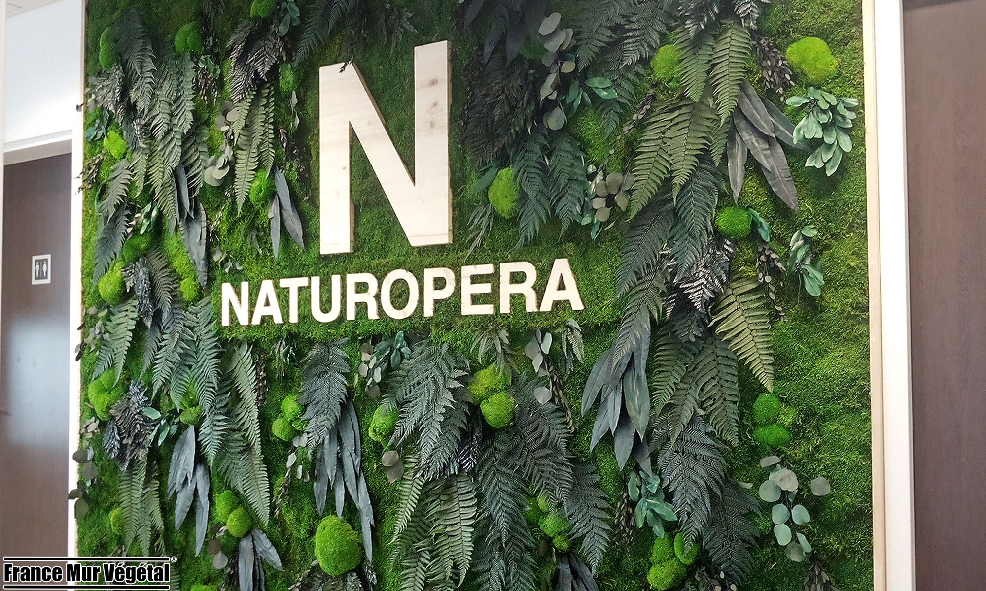 Mur Végétal Stabilisé Forfait Medium