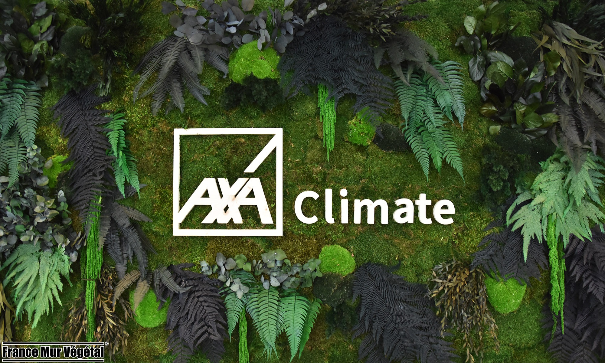 Mur Végétal Stabilisé Forfait Medium